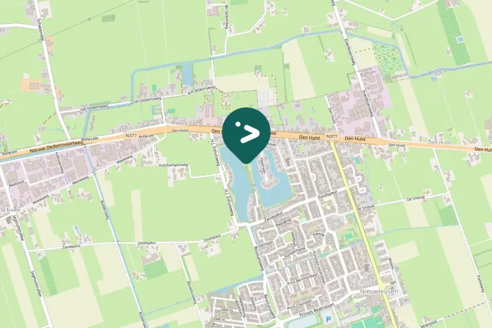 Spotted Eurasian Siskin