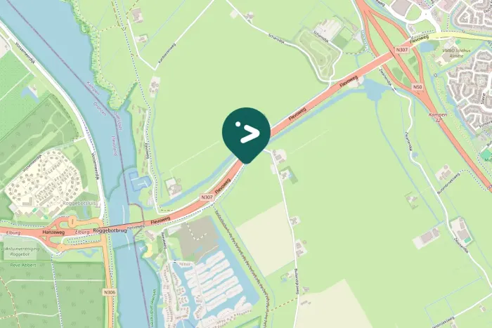 Spotted Barnacle Goose