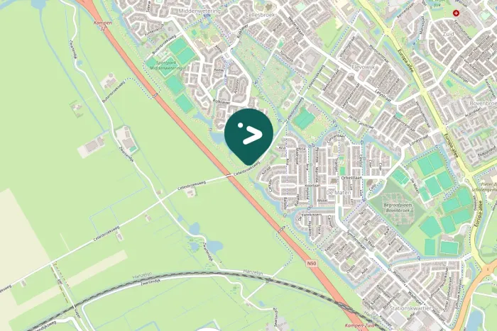 Spotted Common Buzzard