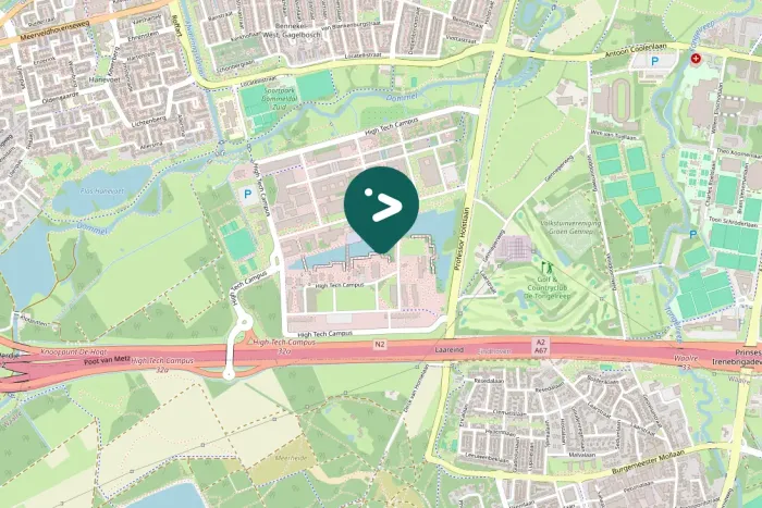 Spotted Eurasian Coot