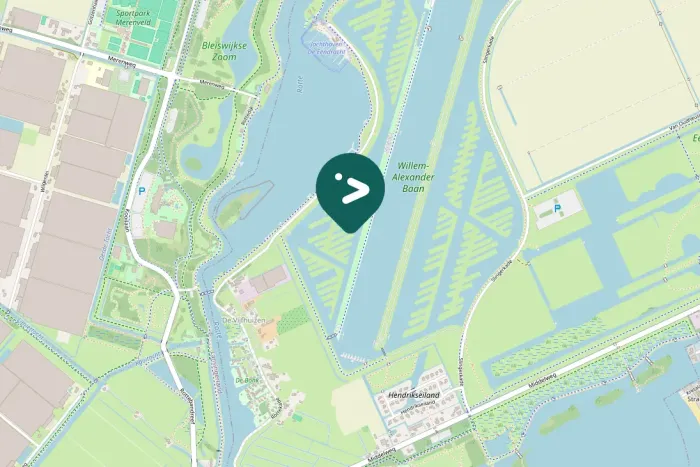 Spotted Eurasian Wigeon