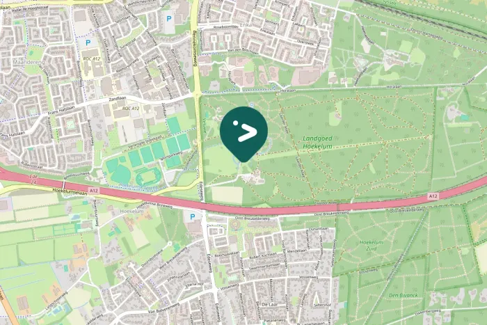 Spotted Northern Pintail