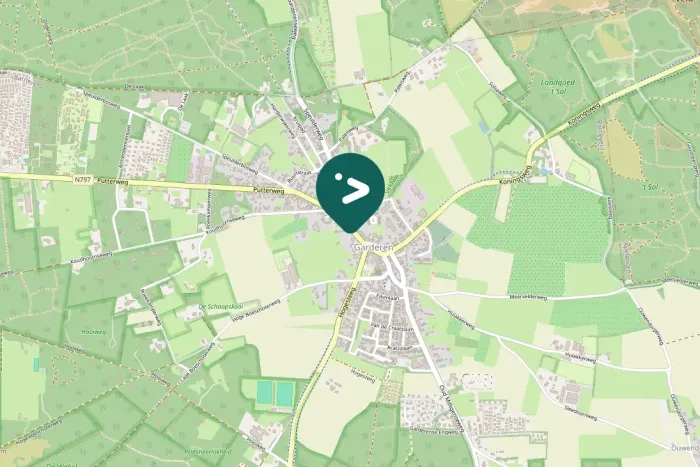 Spotted Middle Spotted Woodpecker