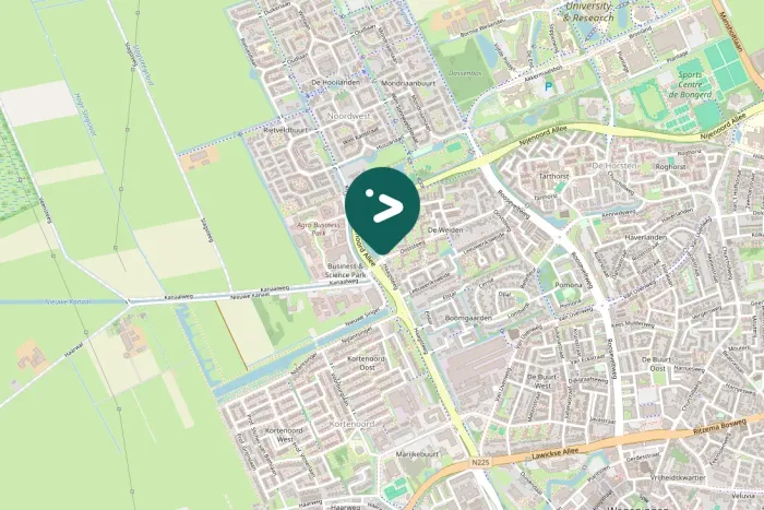 Spotted Long-eared Owl