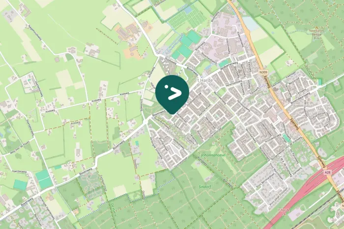 Spotted Eurasian Nuthatch