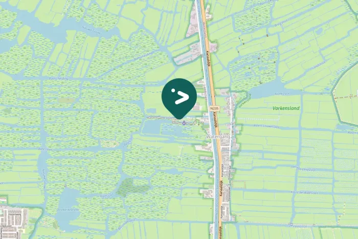 Spotted Western Marsh Harrier