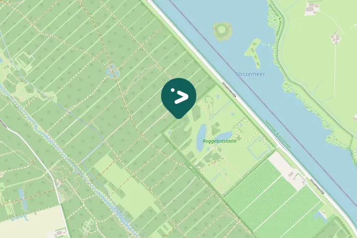 Spotted European Robin