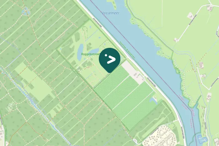 Spotted Eurasian Wren