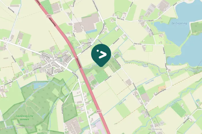 Spotted Greater White-fronted Goose