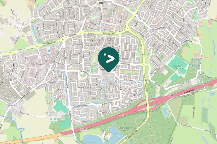 Spotted Eurasian Jackdaw