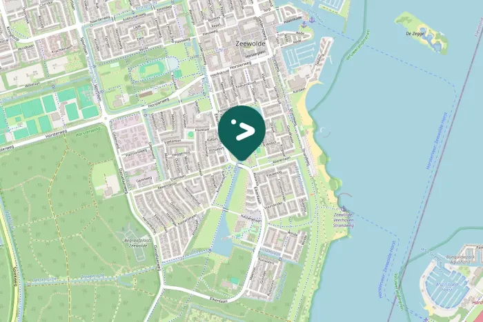 Spotted Common Merganser