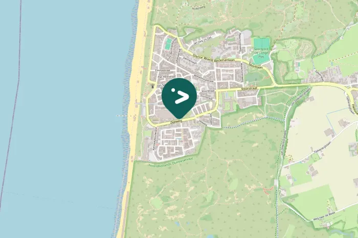 Spotted European Herring Gull