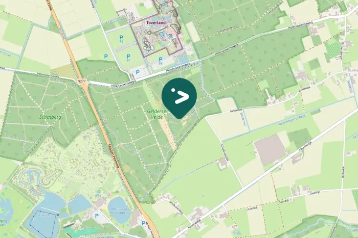 Spotted Long-eared Owl