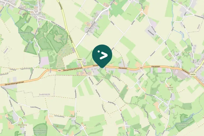 Spotted Rough-legged Hawk