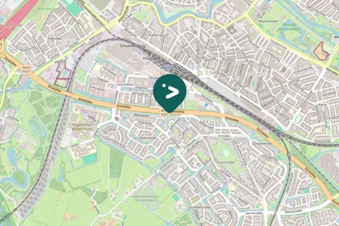 Spotted Black-headed Gull