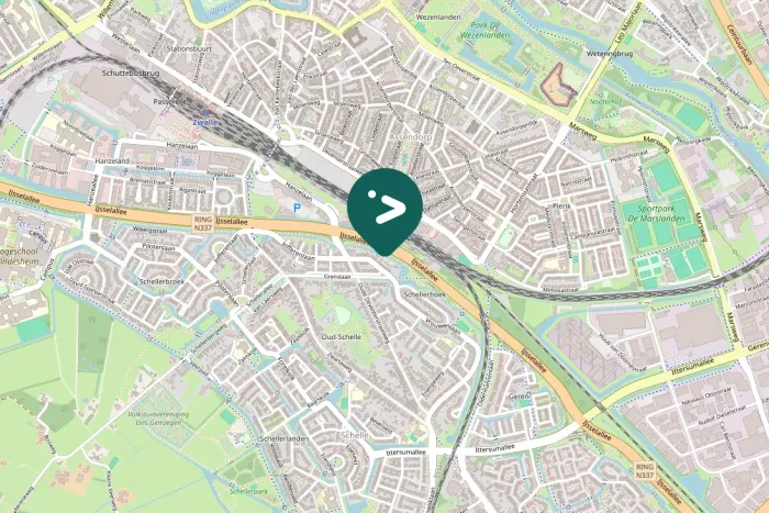 Spotted Eurasian Magpie