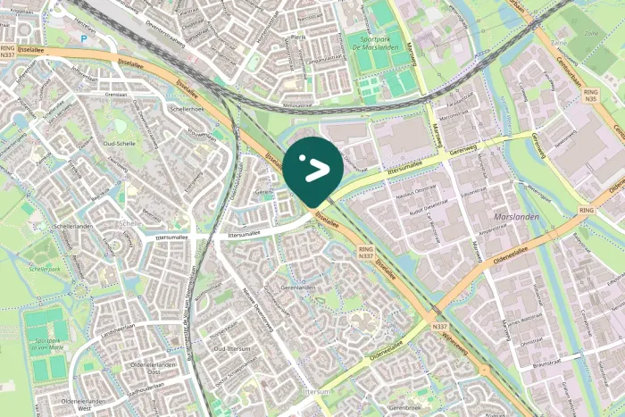 Spotted Eurasian Jackdaw