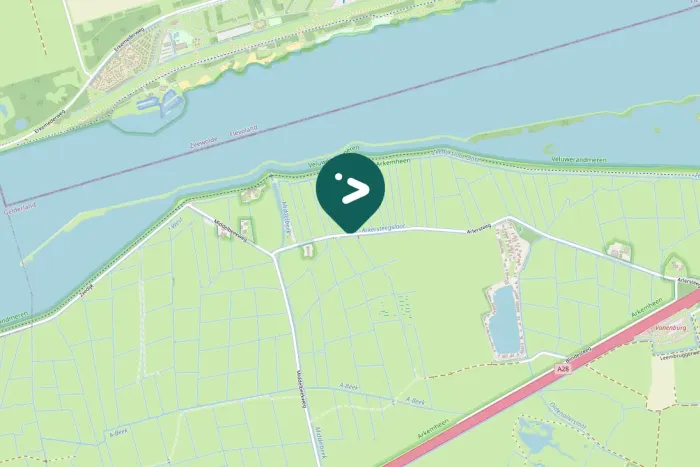 Spotted Greater White-fronted Goose