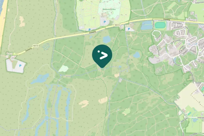 Spotted Eurasian Wren