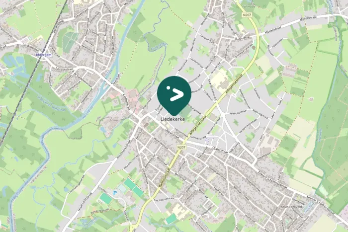 Spotted Common Buzzard