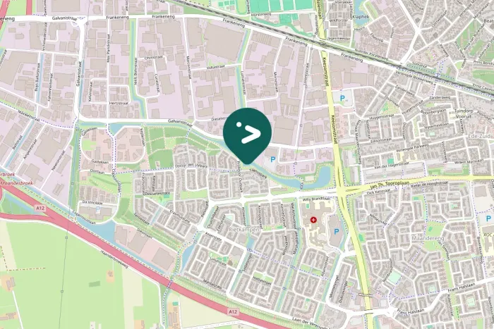 Spotted Little Grebe