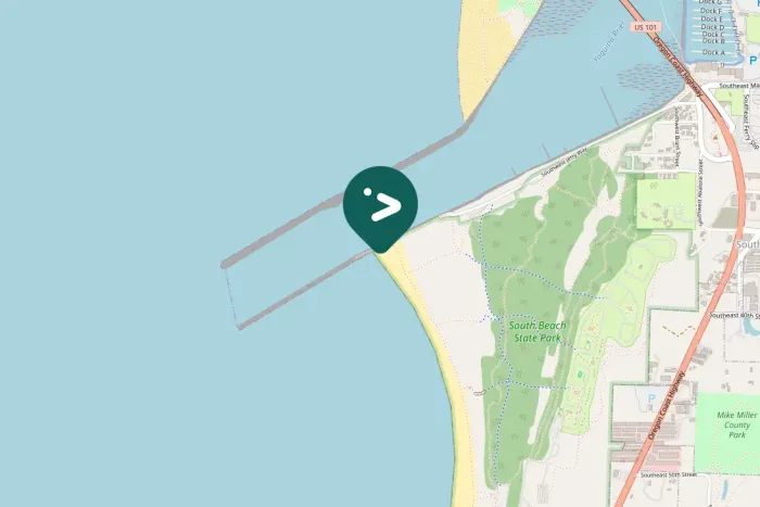 Spotted American Crow