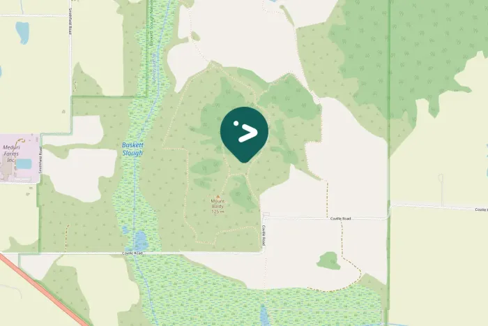 Spotted Cackling Goose