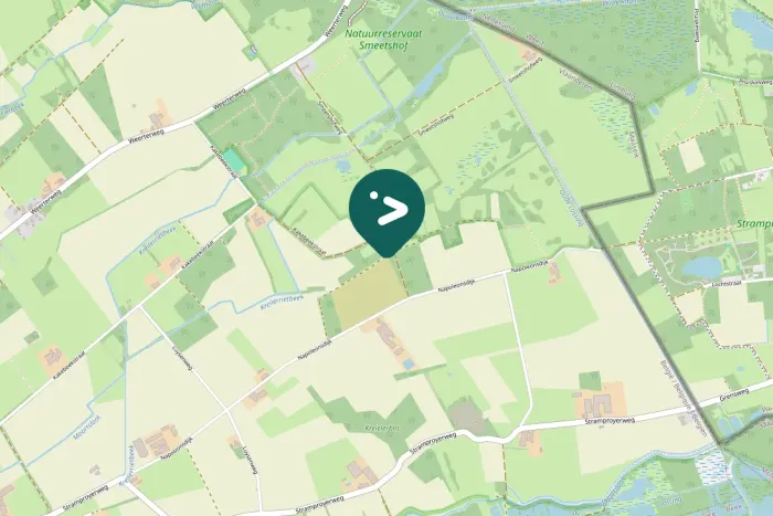 Spotted Mistle Thrush