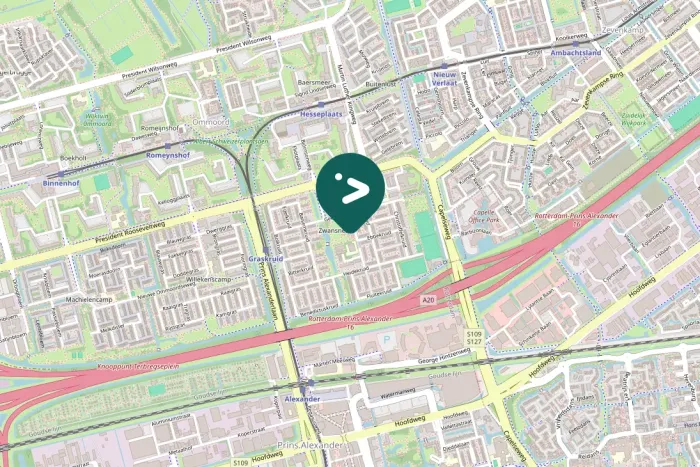 Spotted Rose-ringed Parakeet