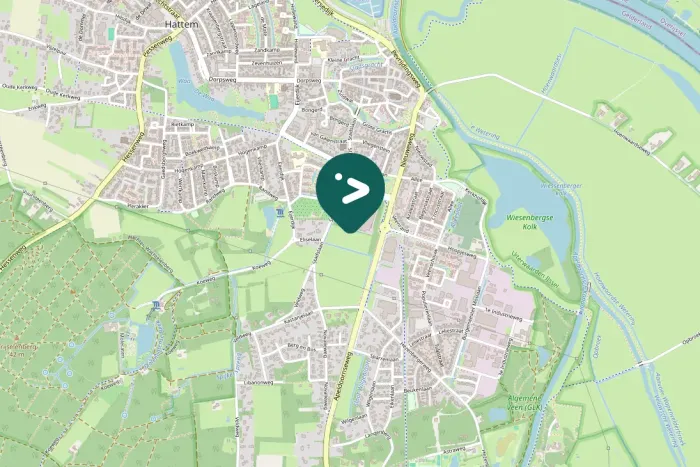 Spotted Great Spotted Woodpecker