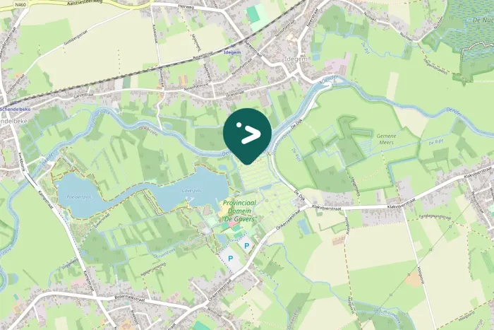 Spotted Eurasian Coot