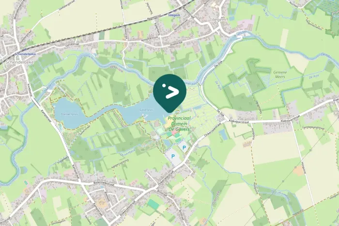 Spotted Great Crested Grebe