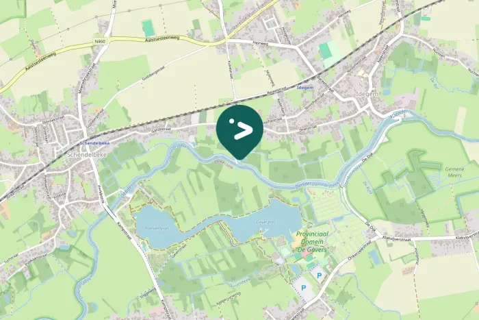 Spotted Great Cormorant