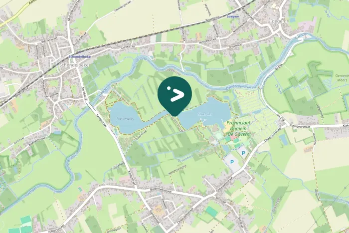 Spotted Eurasian Magpie