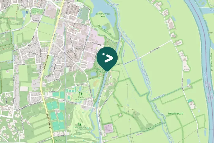 Spotted Little Grebe