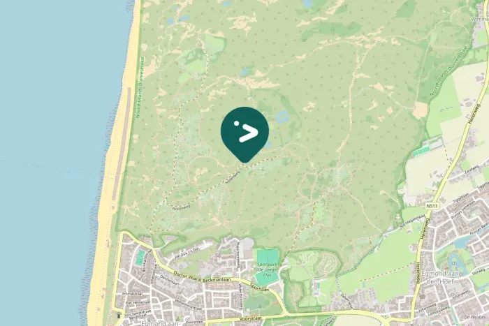 Spotted Eurasian Magpie