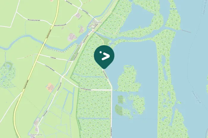 Spotted Eurasian Moorhen