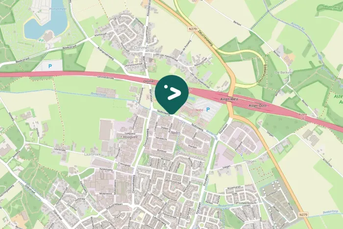 Spotted Eurasian Moorhen