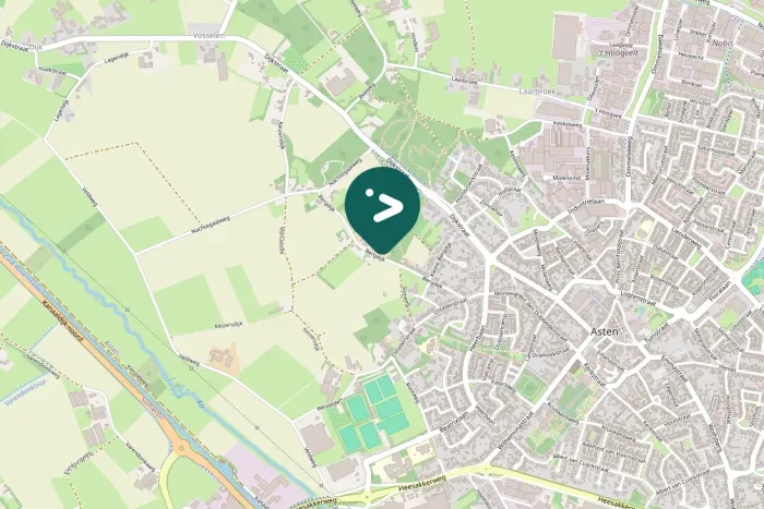 Spotted Great Spotted Woodpecker