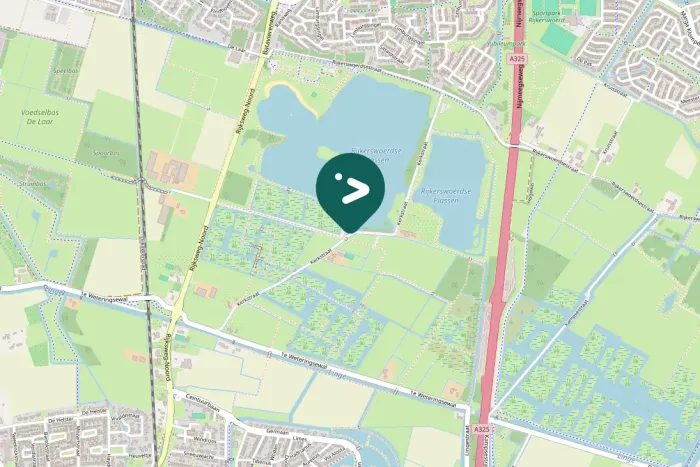 Spotted Little Egret