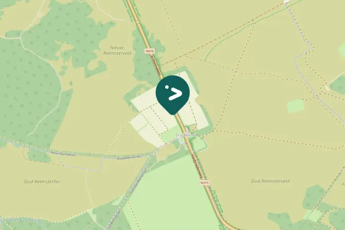 Spotted Eurasian Goshawk