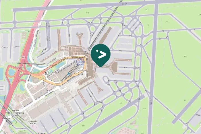 Spotted Common Wood-Pigeon