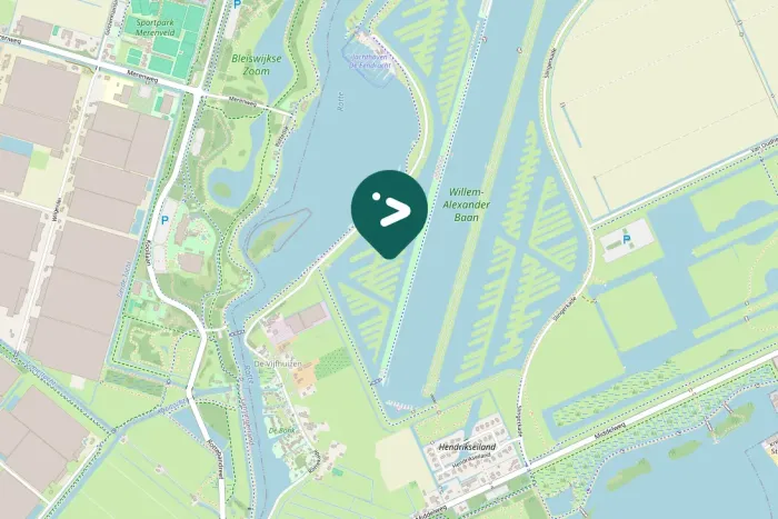 Spotted Greater White-fronted Goose