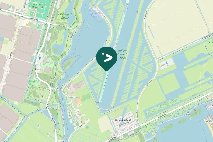 Spotted Barnacle Goose