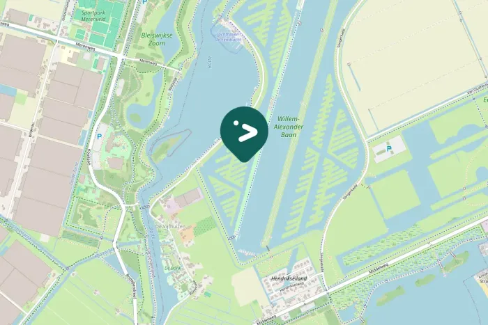 Spotted Green Sandpiper