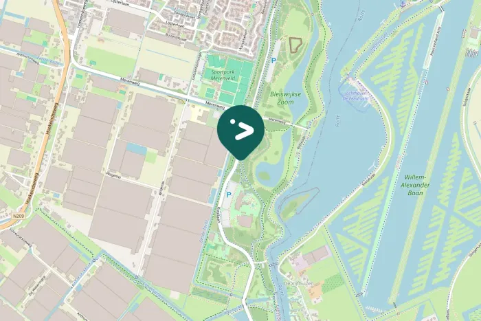 Spotted European Goldfinch