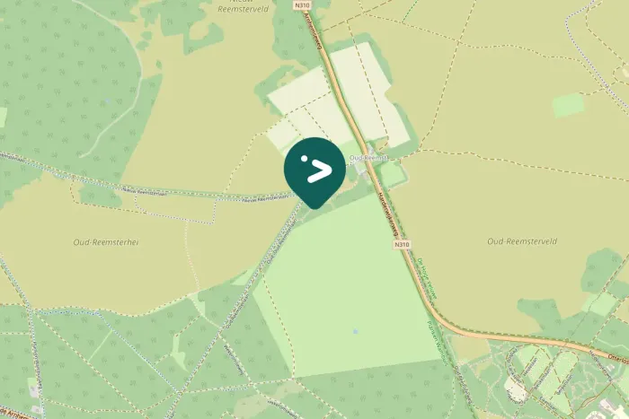 Spotted Great Spotted Woodpecker