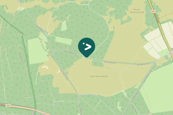 Spotted Common Raven