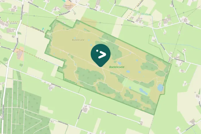 Spotted European Stonechat