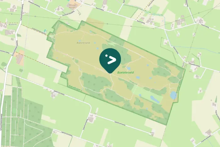 Spotted Long-tailed Tit